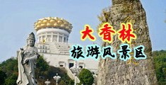 干丝袜骚逼视频中国浙江-绍兴大香林旅游风景区