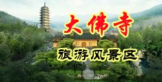 舔……射……啊视频中国浙江-新昌大佛寺旅游风景区